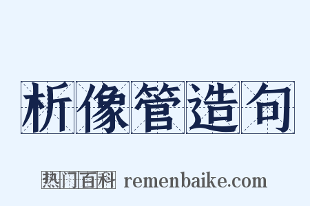 析像管造句是什么意思的图片